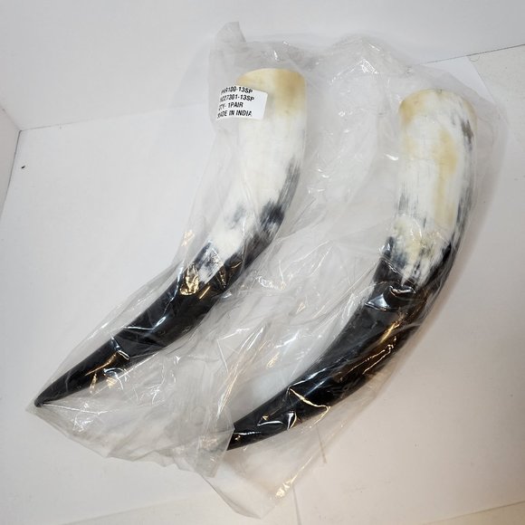 Pair of Steer Viking Drinking Horns 16x3x3 inch   1 pair (HR100-13SP) - Picture 1 of 9
